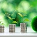 Stacks Of Coins Growing Green Plants Investment Concept Adobe Stock 854630698