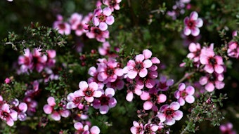 Adobe Stock 628850194