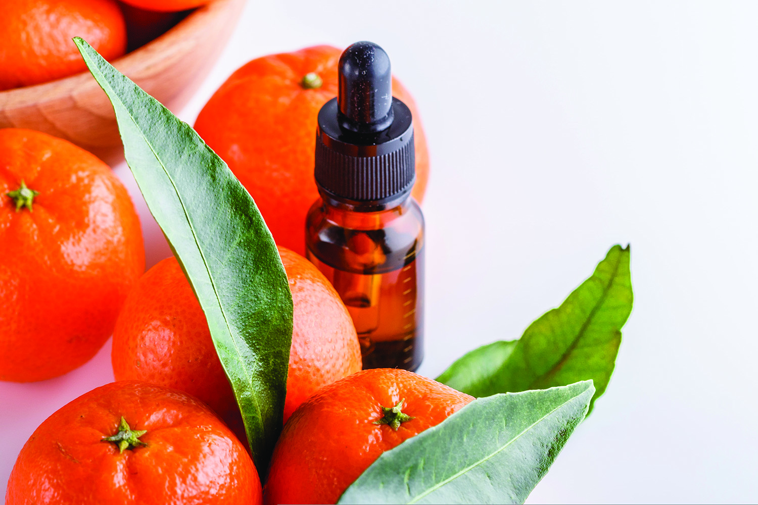 Agrumaria Reggina Sept Roundup