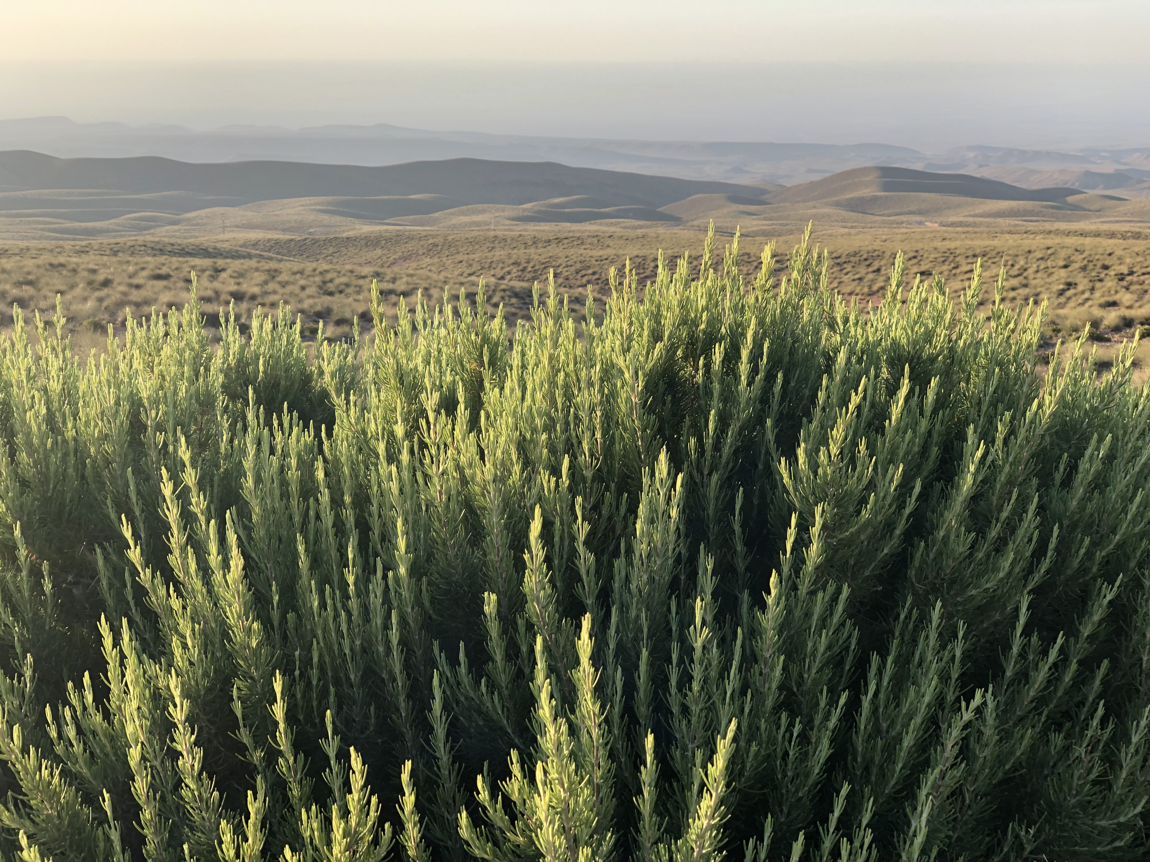 Givaudan Sept Roundup