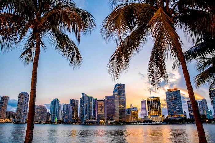 Miami Skyline Through Palm Trees Adobe Stock 112024511