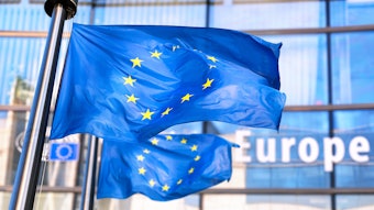 Eu Flag Flying In Front Of Building On Flagpole Adobe Stock 319452445