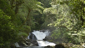 Images of Legado das Águas – Atlantic Forest Reserve in Brazil.