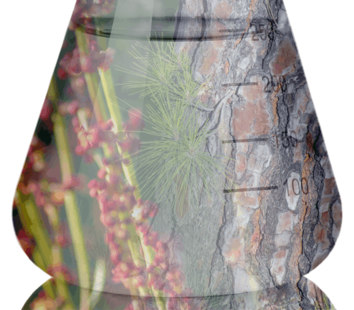 Tensyl Pro Flask