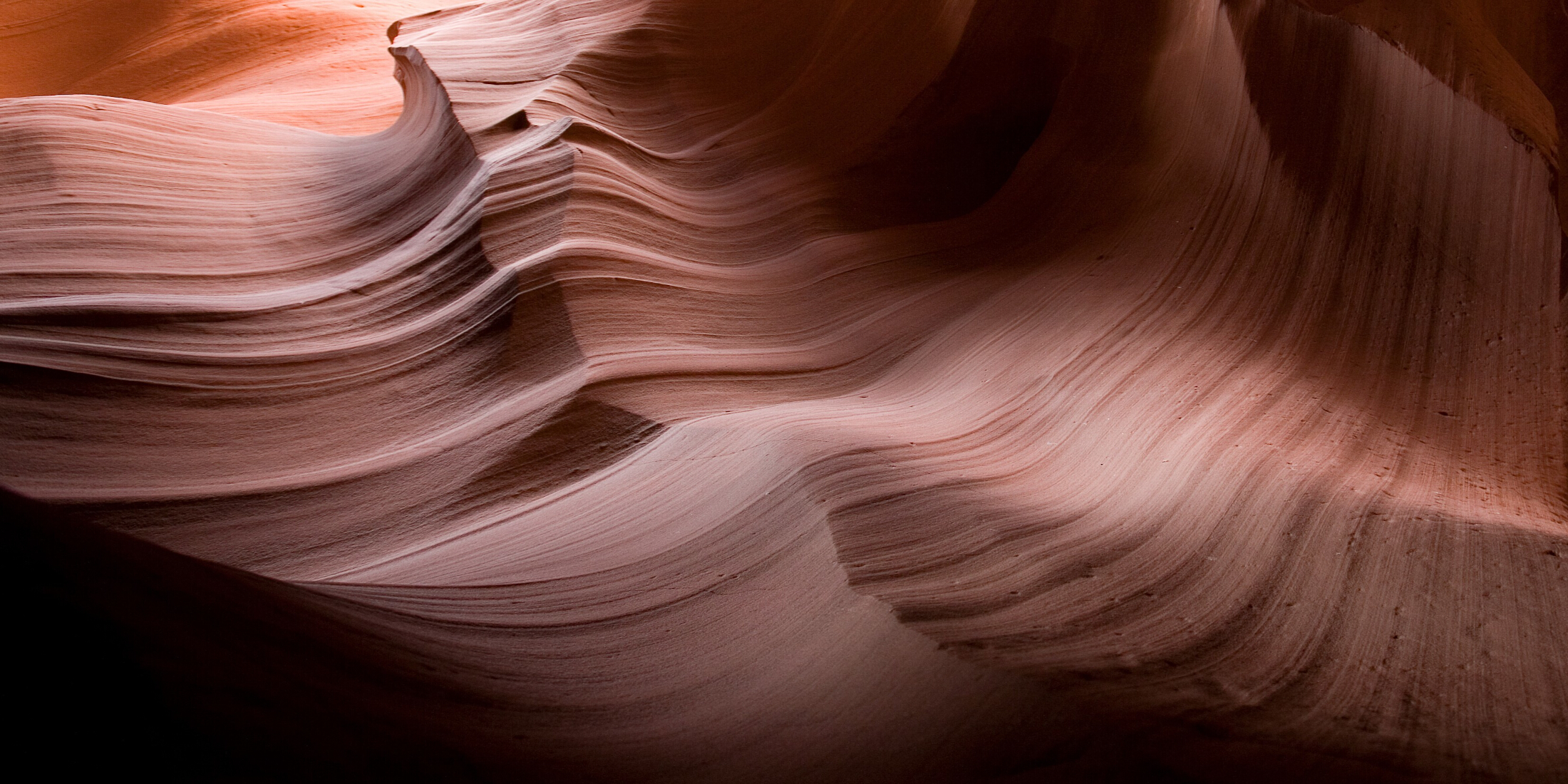 The lipo-soluble ingredient has been shown in controlled clinical settings to support skin hydration under diverse climatic conditions.