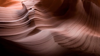 The lipo-soluble ingredient has been shown in controlled clinical settings to support skin hydration under diverse climatic conditions.