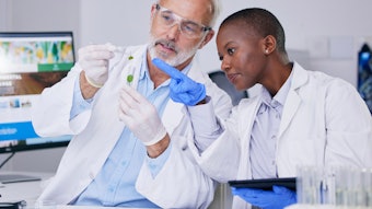 Scientists Collab Green Chemistry Lab Setting Diversity Adobe Stock 636939841