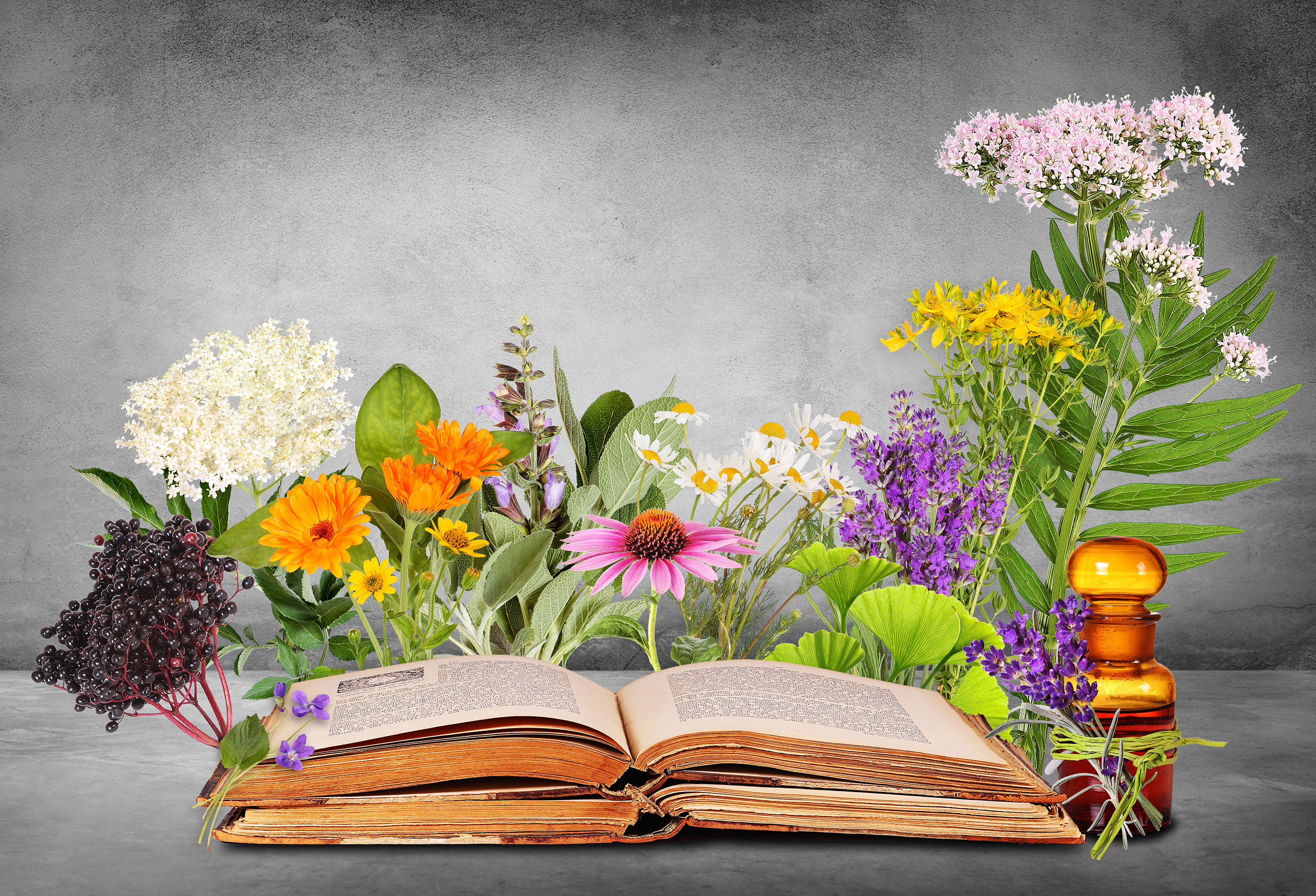 The increasingly health-conscious consumer is holding ingredients to a higher standard. In the pursuit of 'clean' and safe ingredients, they often look to natural ingredients like botanicals.