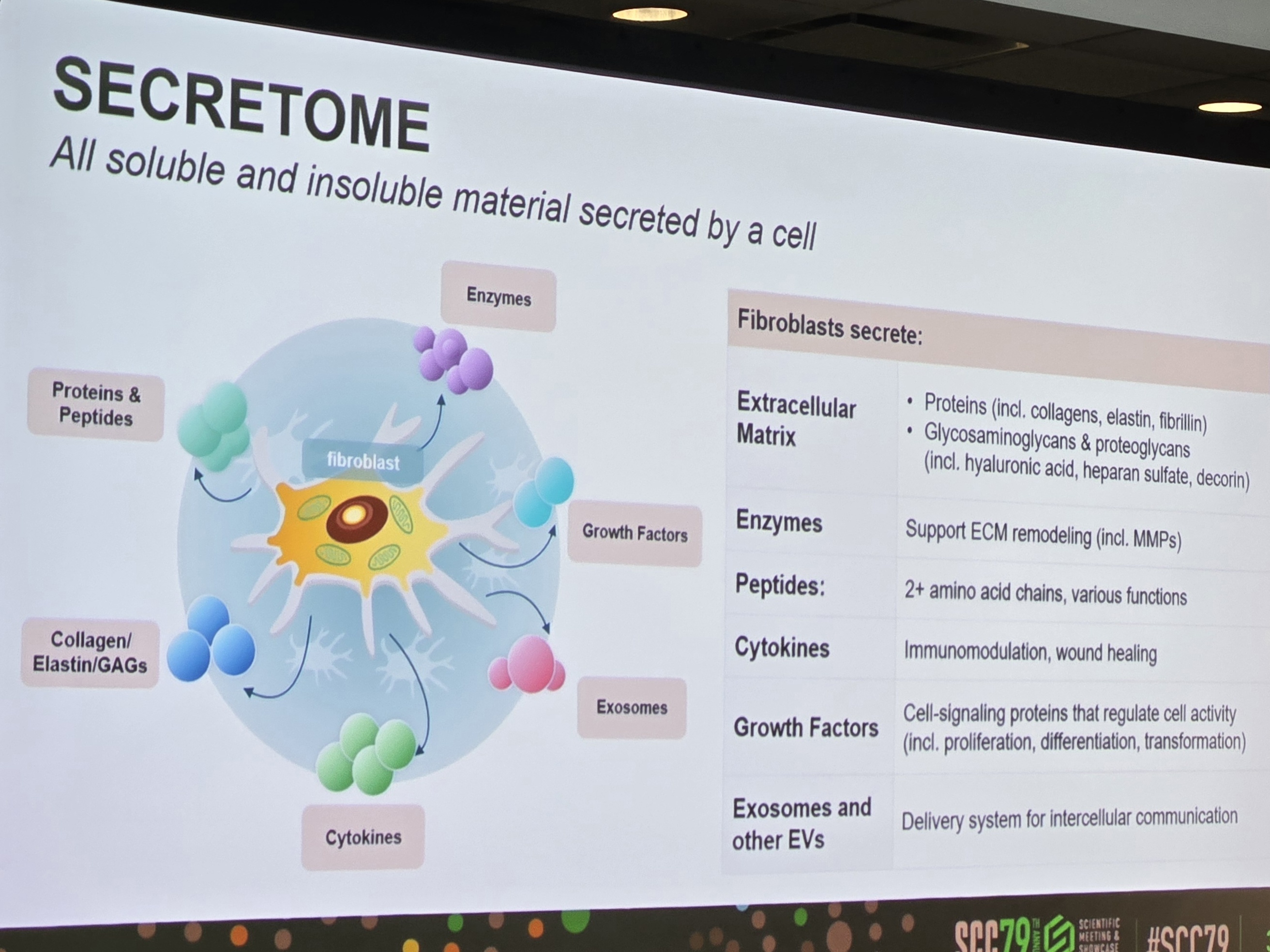 Prithwiraj Maitra, Ph.D., from Skinmedica concluded with a discussion on harnessing secretome science for skin health and longevity.