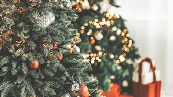 Adobe Stock 294572489