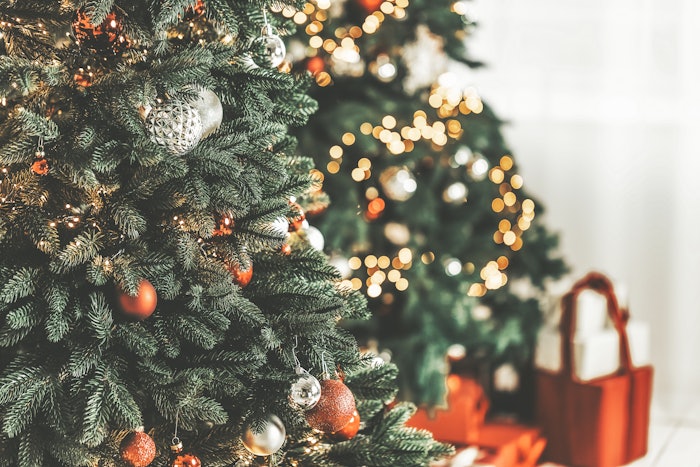 Adobe Stock 294572489