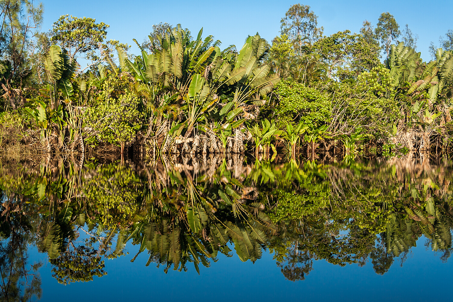 25 11 14 Image Press Release Symrise Cop 30 Houston (1)