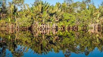 25 11 14 Image Press Release Symrise Cop 30 Houston (1)