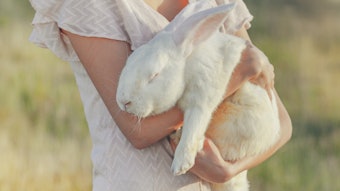 When consumers request vegan skin care, 89% are actually seeking associated benefits such as cruelty-free, clean or natural formulations. Only 11% correctly identify 'vegan' with its actual meaning—animal-free ingredients.