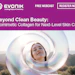 Ct Evonik 020426 Mr 300x250