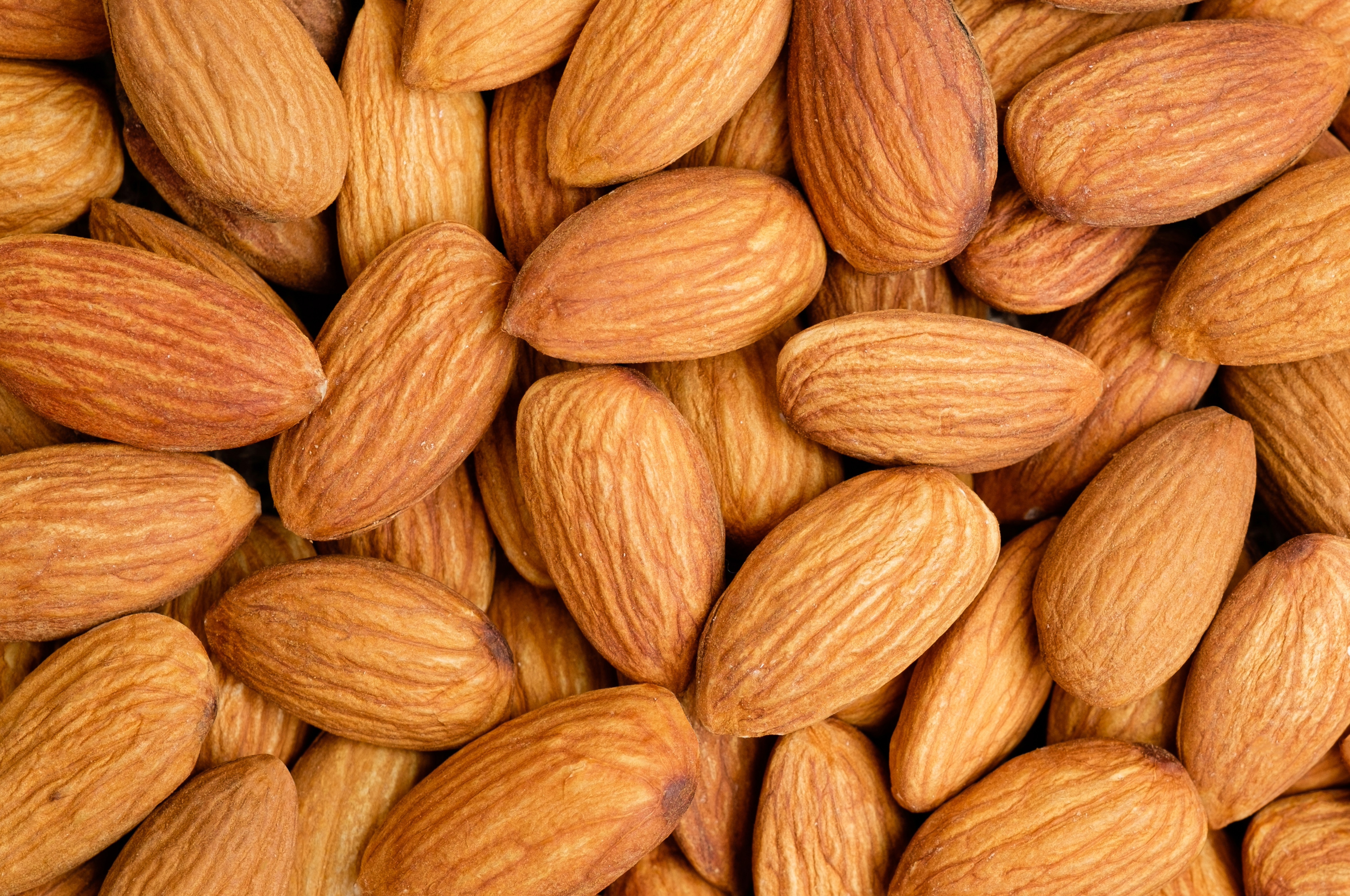 Almond Spark jpeg