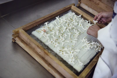 More than ever, our ambition is to elevate fragrance by combining nature, creativity and innovation while staying true to what makes us unique.