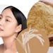 Image Ricebranferment2026feb