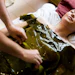 “Nature-inspired ingredients, particularly marine-derived actives like algae and kelp, are playing a critical role in advancing both sustainability and skin protection,” says Michelle Chavez of Accupac.