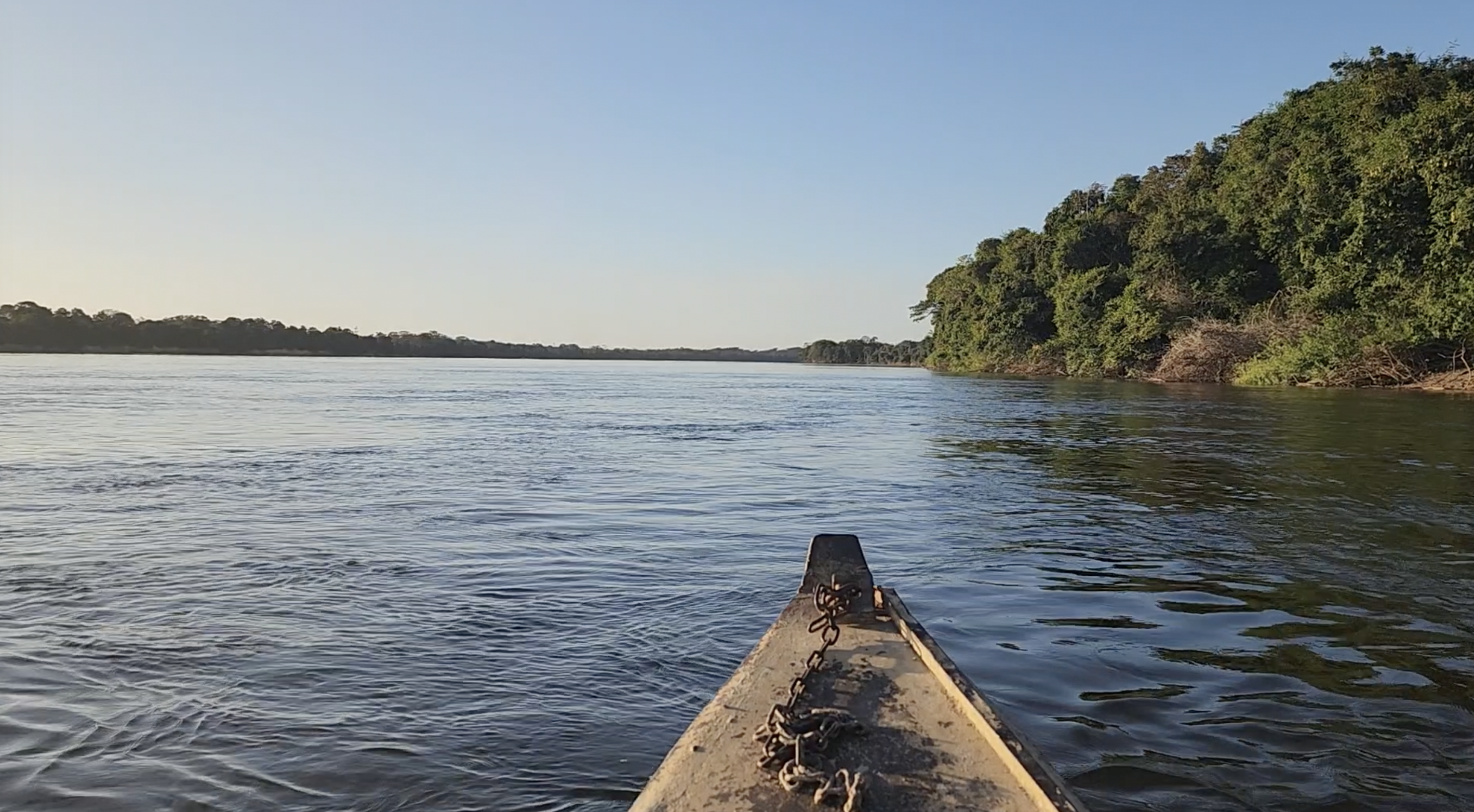 View from boat bow on calm river with dense tropical forest lining the right bank under clear sky