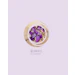 ELIXIRIS Co-extract logo featuring purple iris flowers and dried botanicals in a circular woven frame