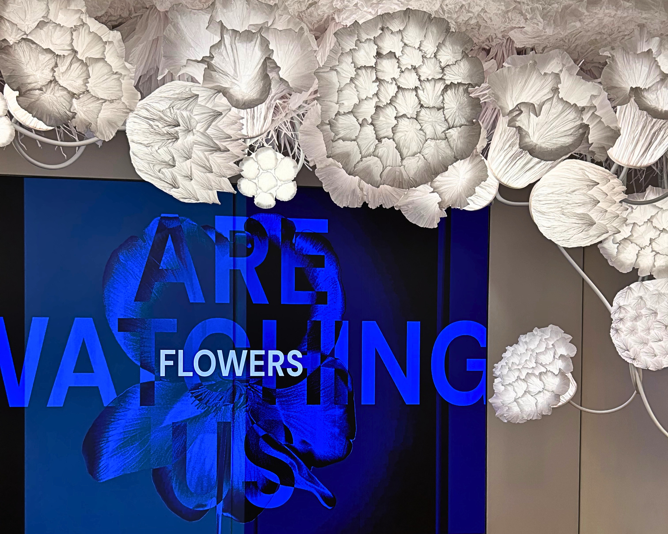 The activation also serves as a showcase for dsm-firmenich's expanding technology platform. Building on more than a century of floral innovation—from early breakthroughs such as Iralia, Wardia and Hedione—the company highlights how modern technologies including Firgood extraction, NaturePrint capture and the new captive ingredient Heliobliss are enabling perfumers to create more nuanced, sustainable and expressive floral signatures.