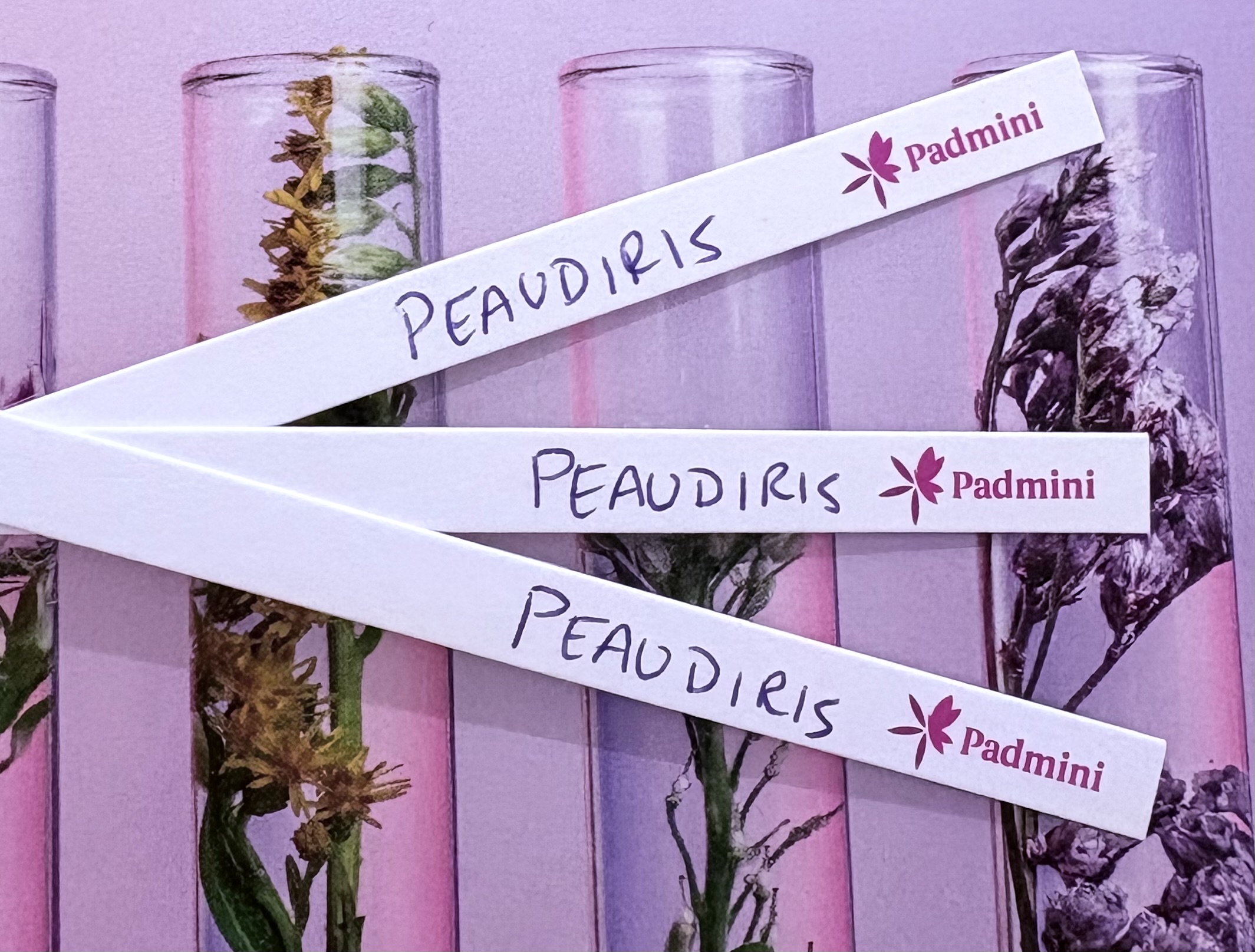 Padmini branded ribbons with botanical specimens in glass containers on purple background