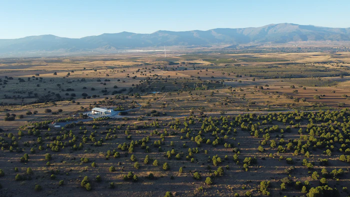 Aerial view of agricultural landscape with scattered trees, cultivated fields, and mountains under clear blue sky