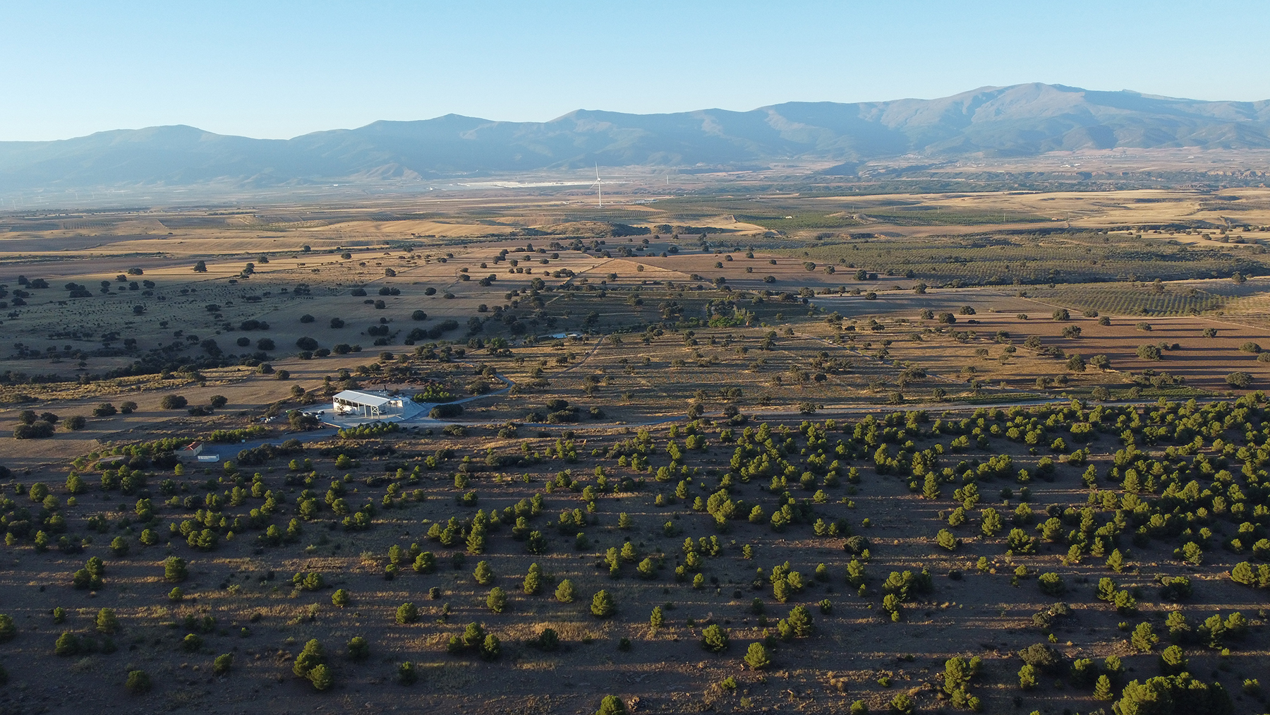 Aerial view of agricultural landscape with mountains, scattered olive trees, and a white building in a Mediterranean valley